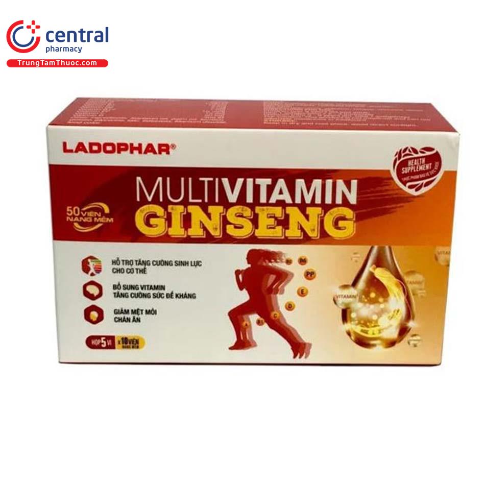 multivitamin ginseng 4 B0055