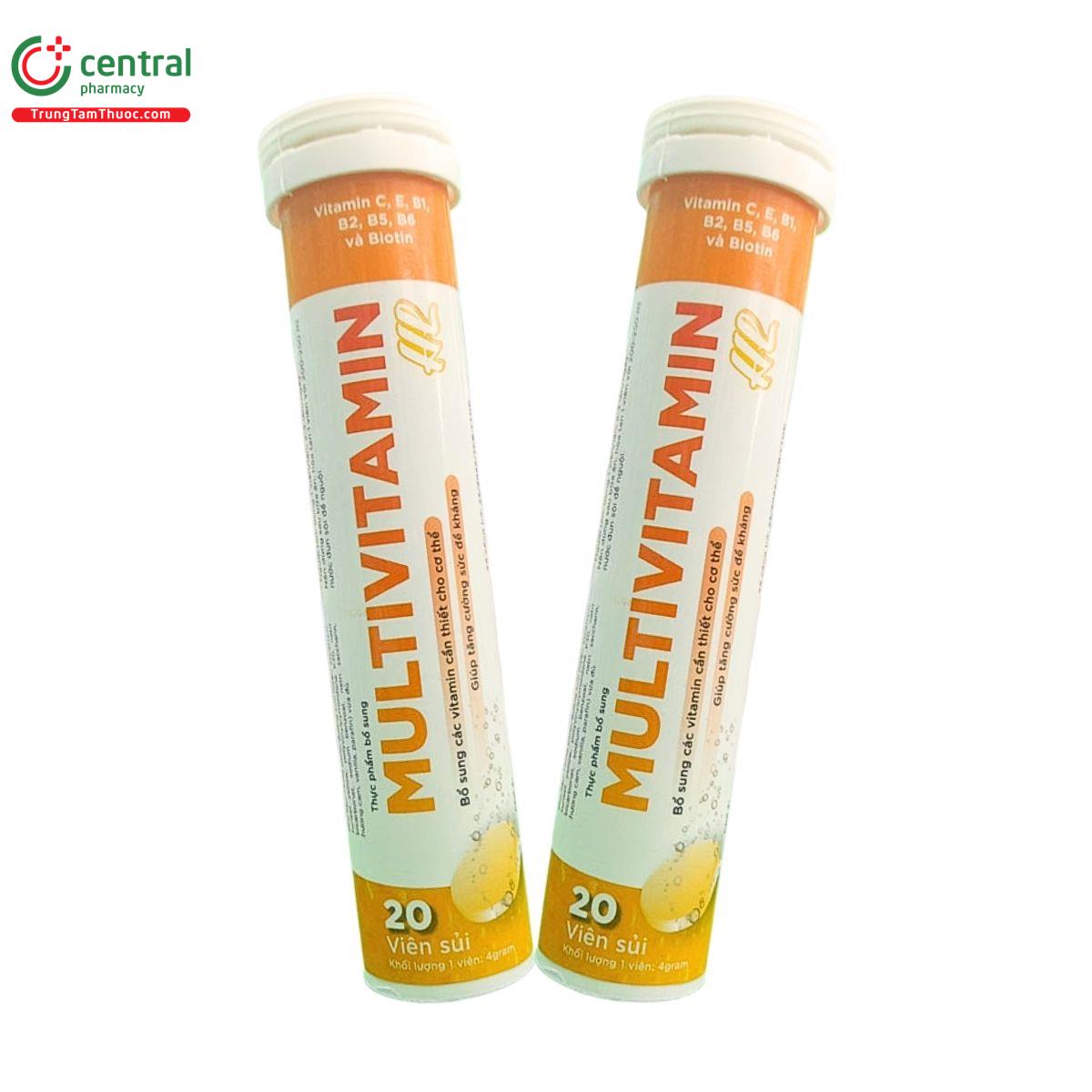multivitamin hl 2 G2385