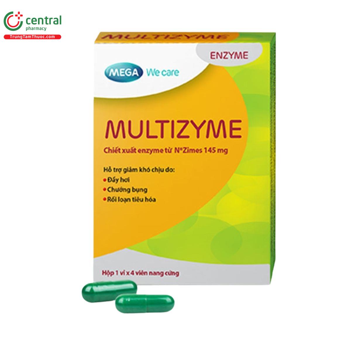 multizyme 2 E1842 multizyme 2 E1842