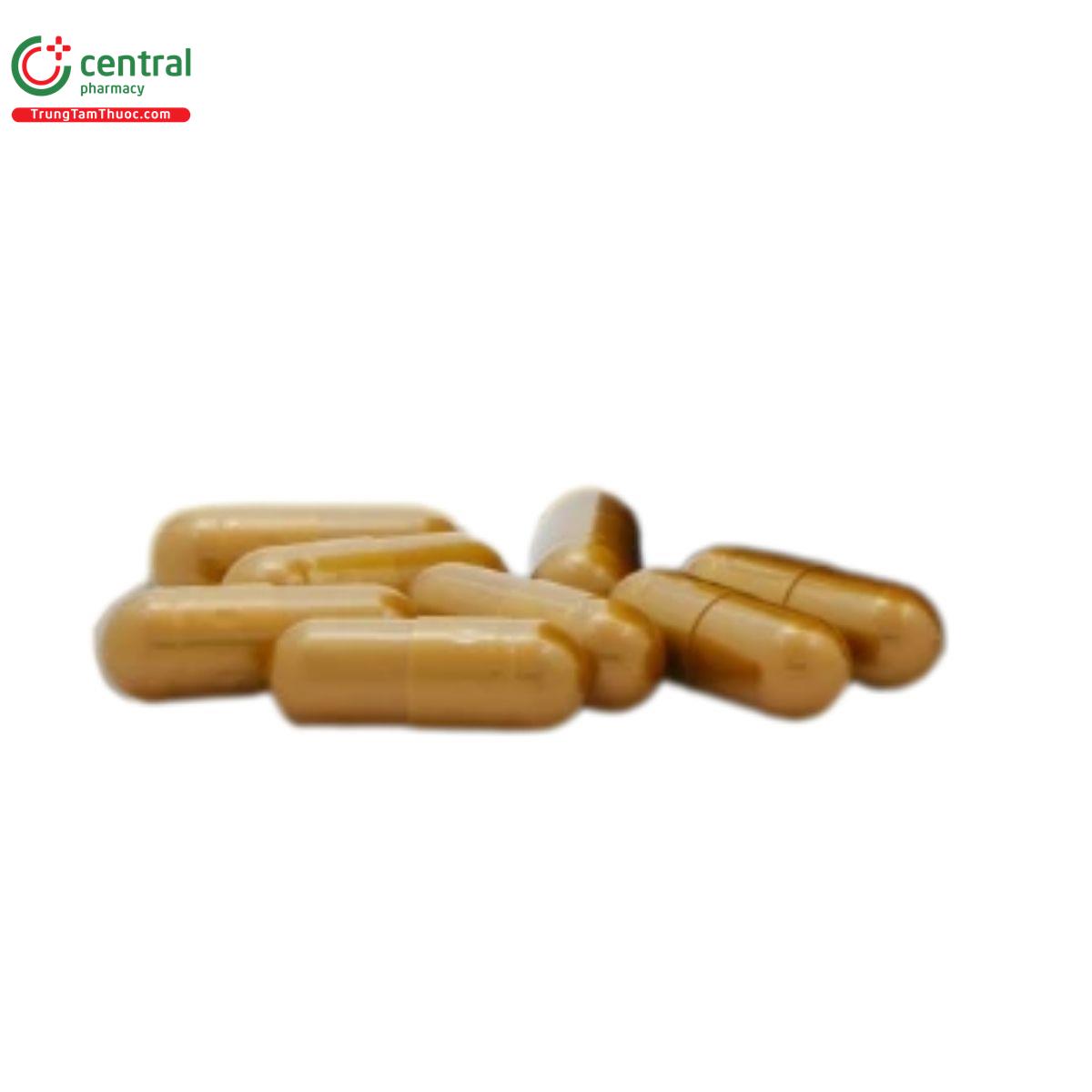 nano fucoidan regest 4 N5161