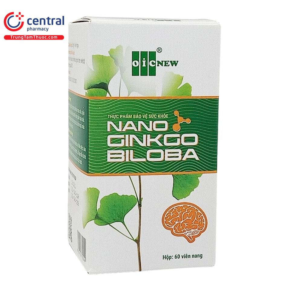 nano ginkgo biloba 2 A0285