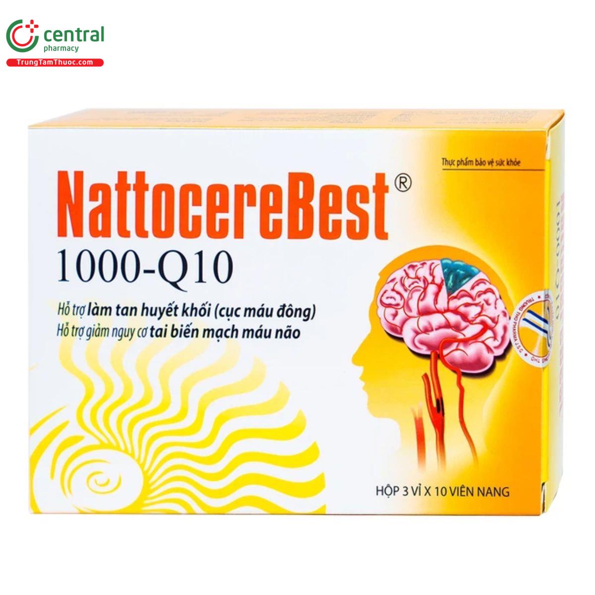 nattocerebest r 1000 q10 4 H3288