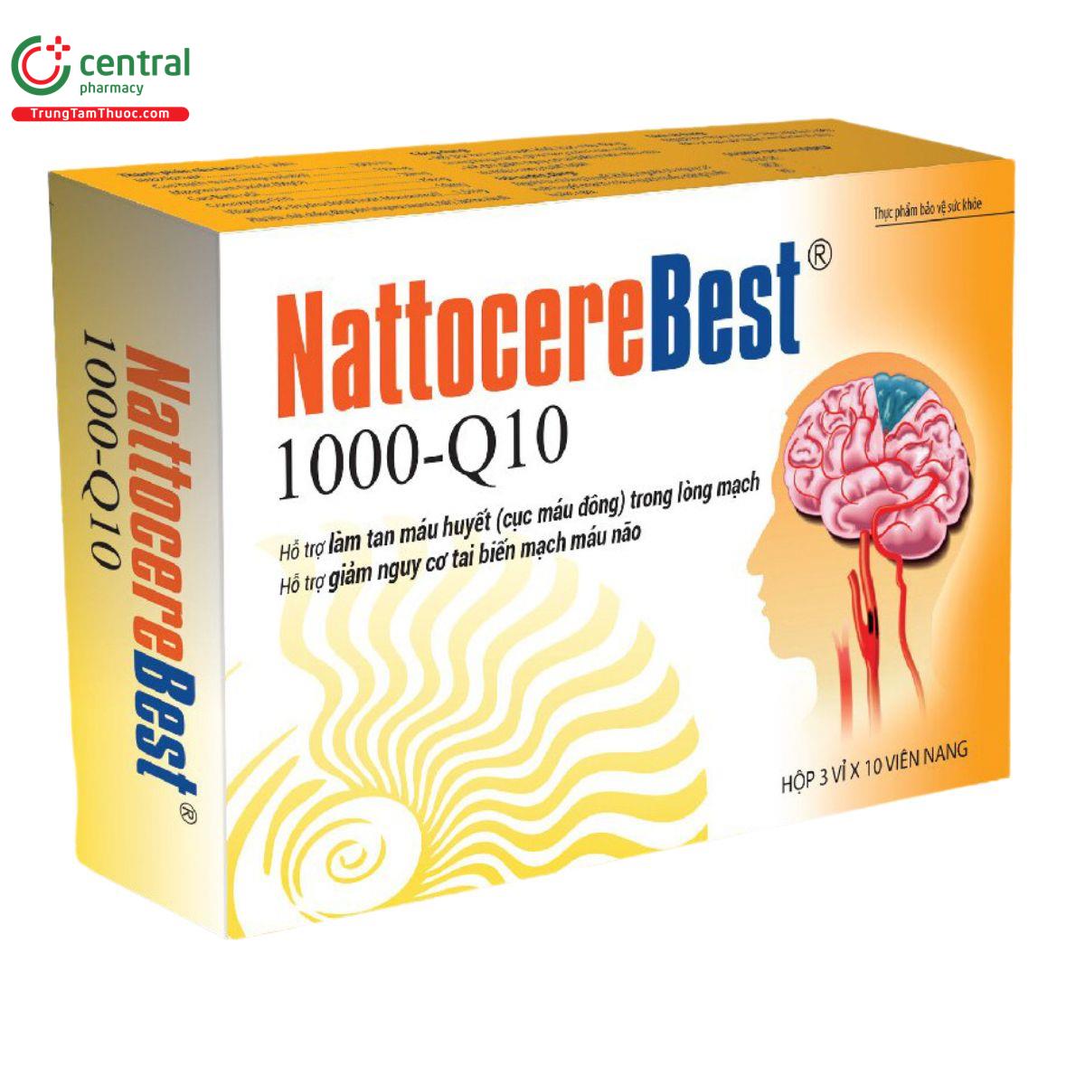 nattocerebest r 1000 q10 6 P6321