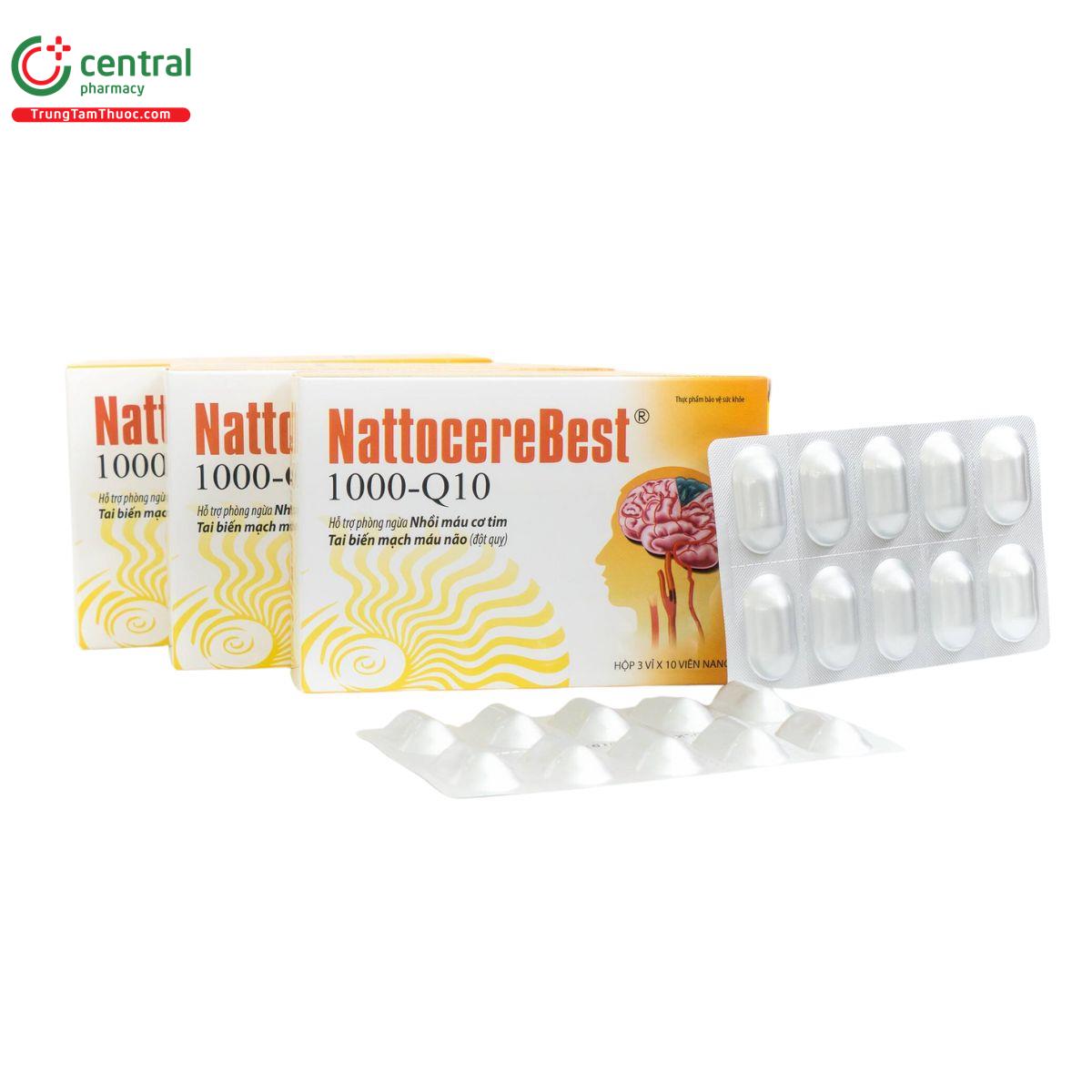 nattocerebest r 1000 q10 7 G2024