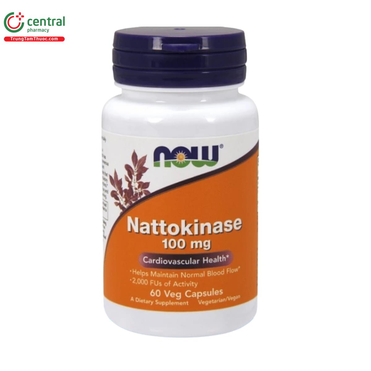 nattokinase 100 mg 1 A0507 nattokinase 100 mg 1 A0507