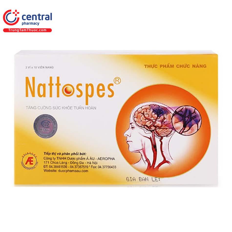 nattospes 1 I3785