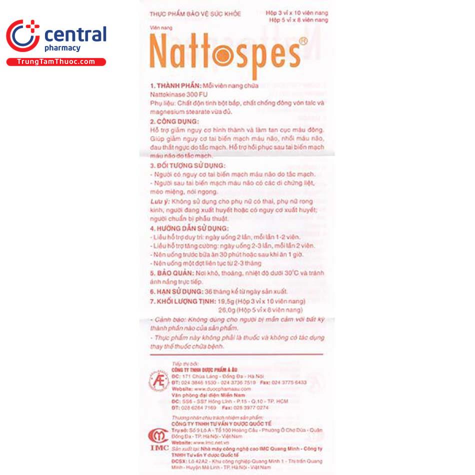 nattospes 19 Q6734