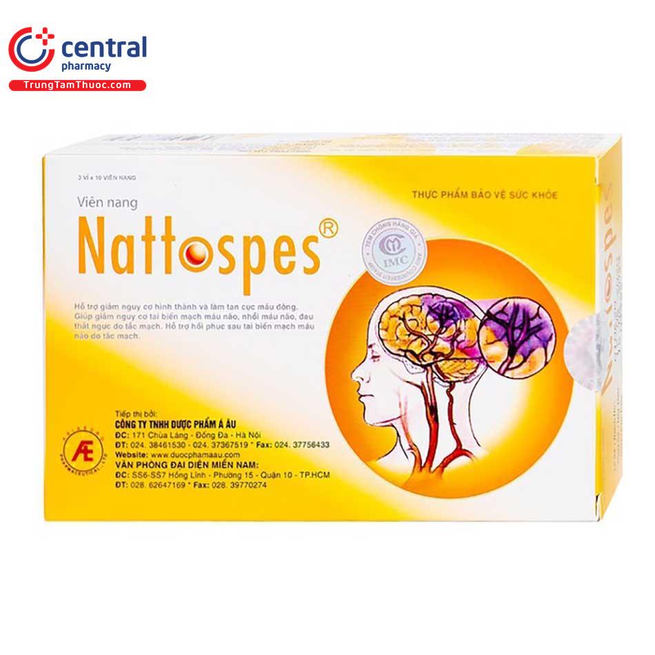 nattospes 4 T8160