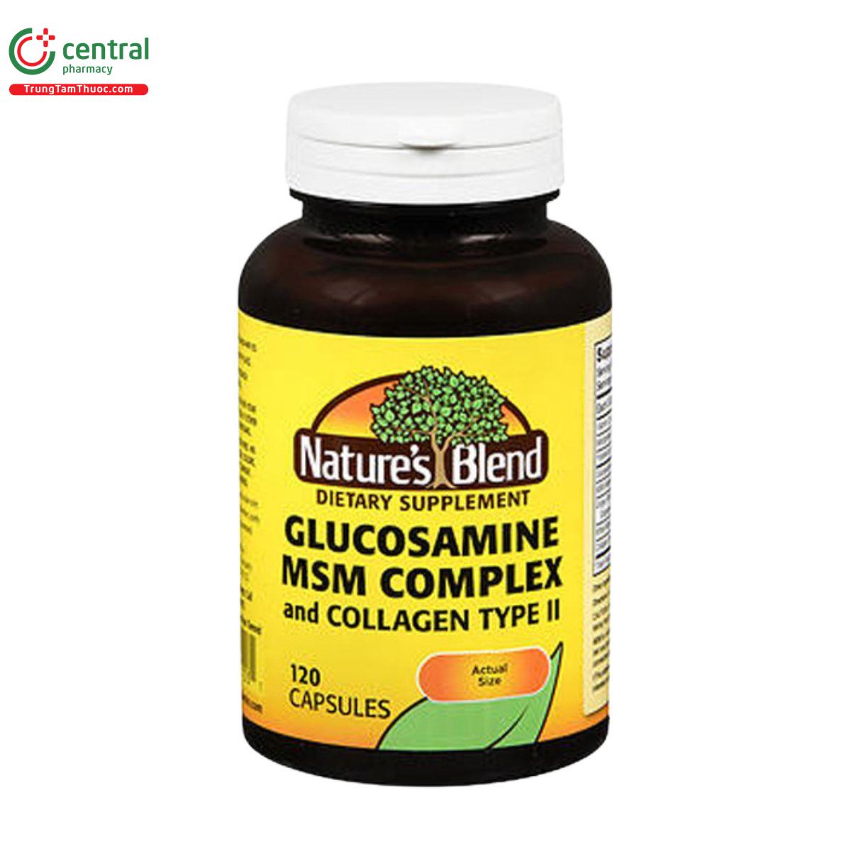 natures blend glucosamine msm complex and collagen ii 1 M5224