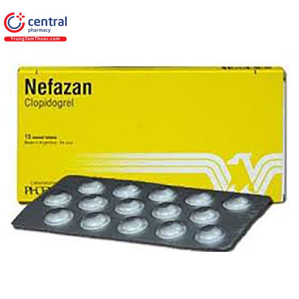 nefazan2 P6822