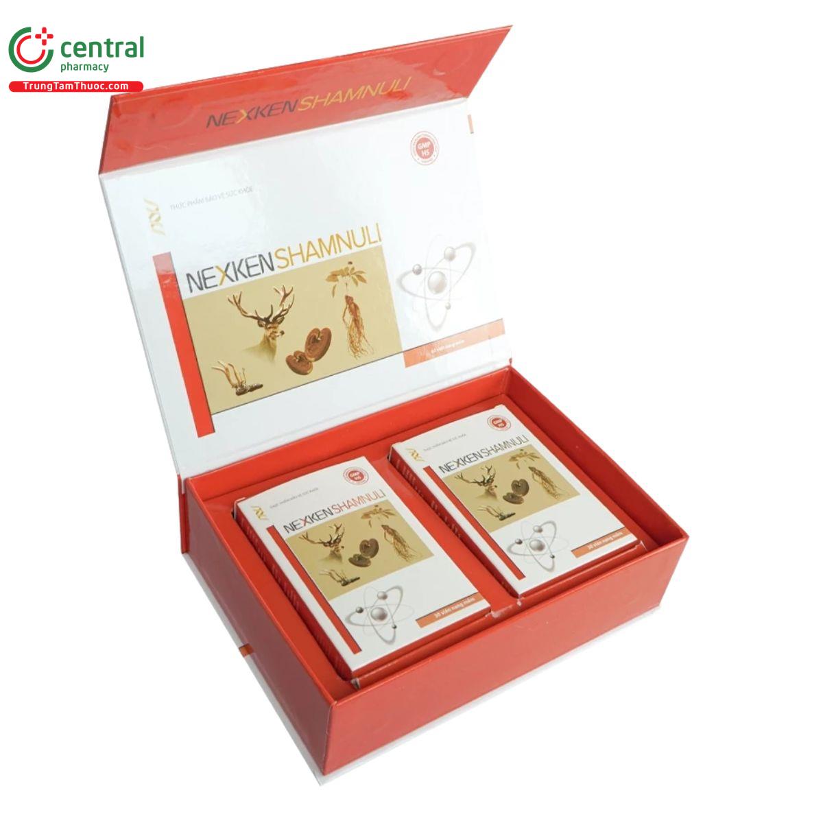 nexken shamnuli 2 H2366