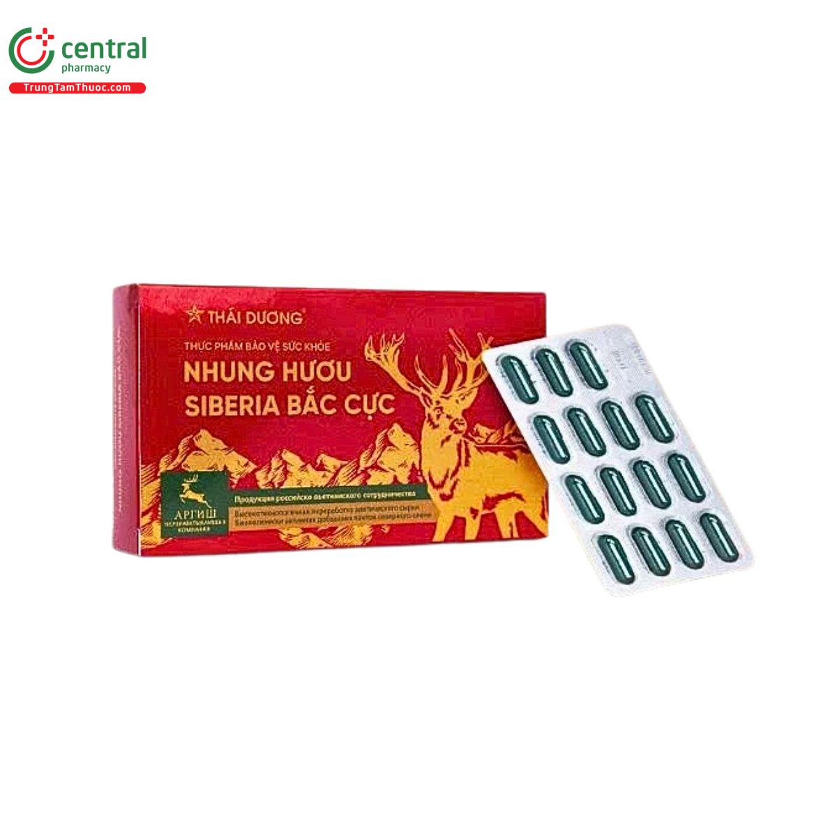 nhung huou siberia bac cuc 1 U8721