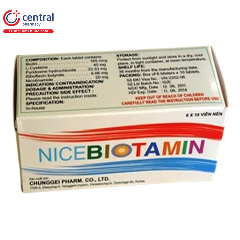 nice biotamin 2 A0056