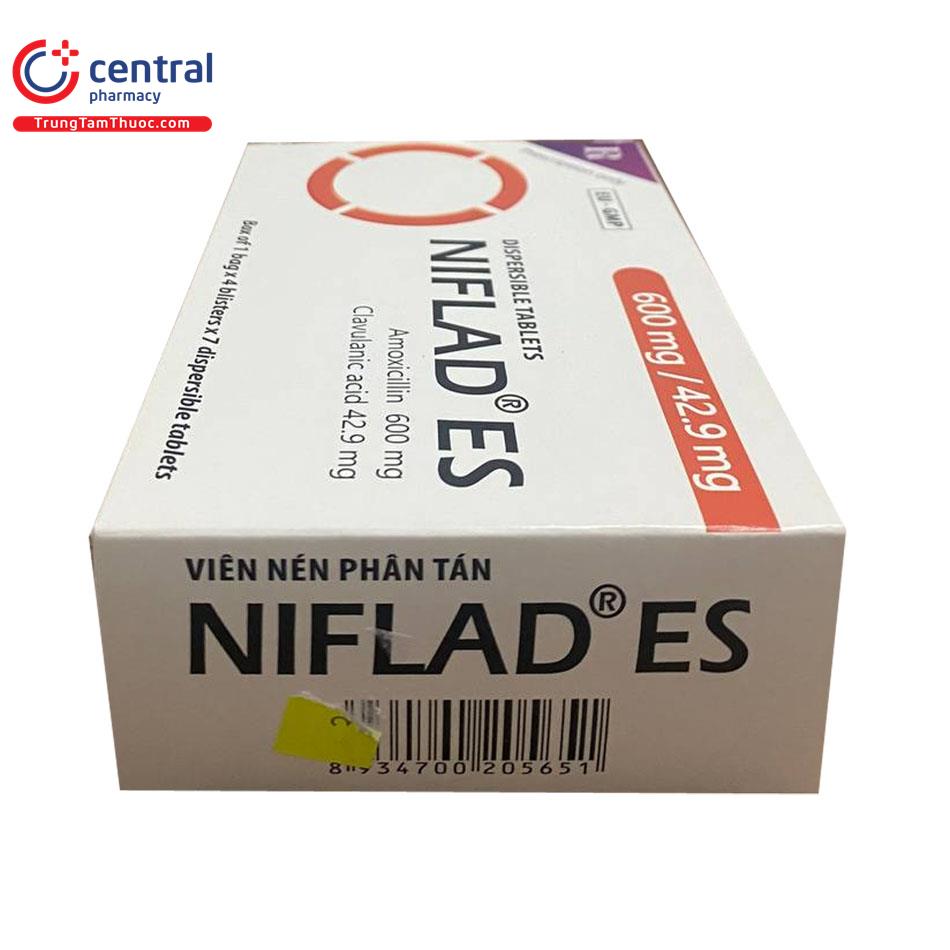 niflad es 1 V8174