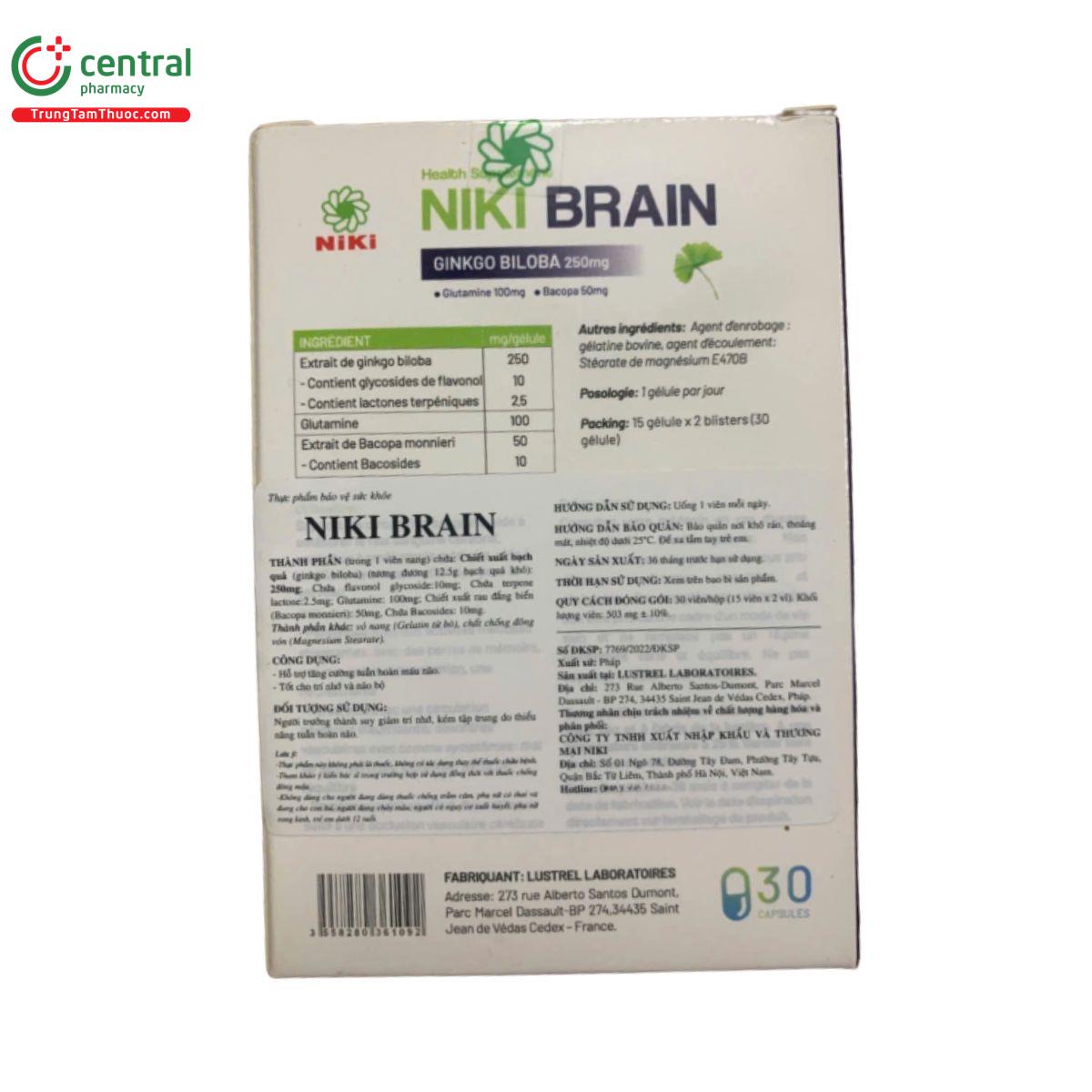 niki brain 2 P6584