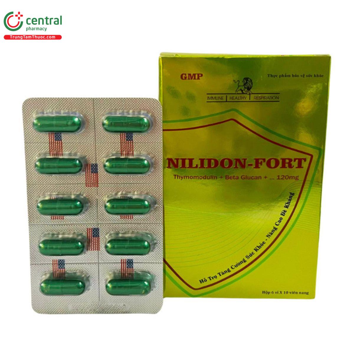 nilidon fort 1 P6475