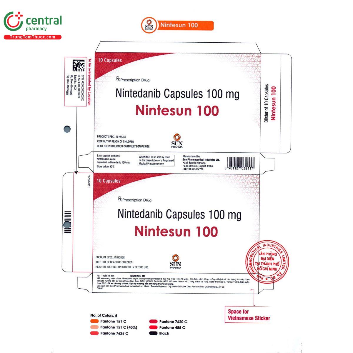 nintesun 100 2 P6616 nintesun 100 2 P6616