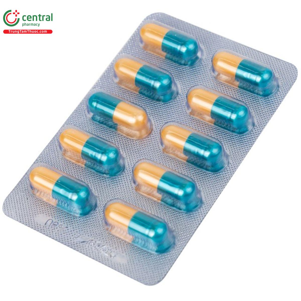 niztahis 300 8 U8187