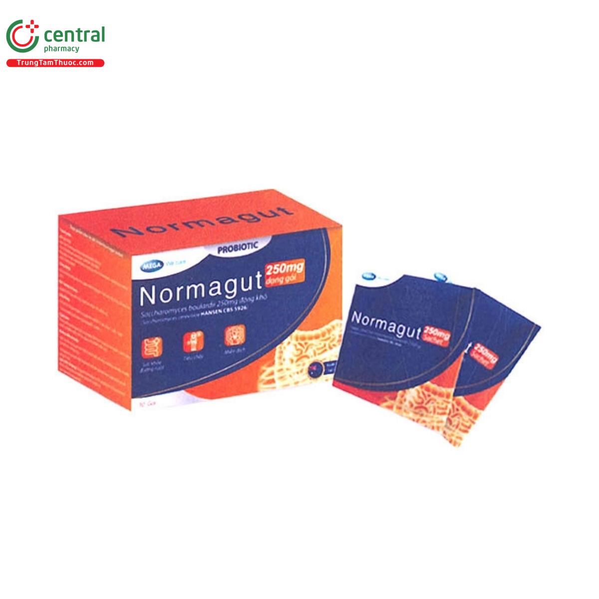 normagut 250mg sachet 2 F2747 normagut 250mg sachet 2 F2747