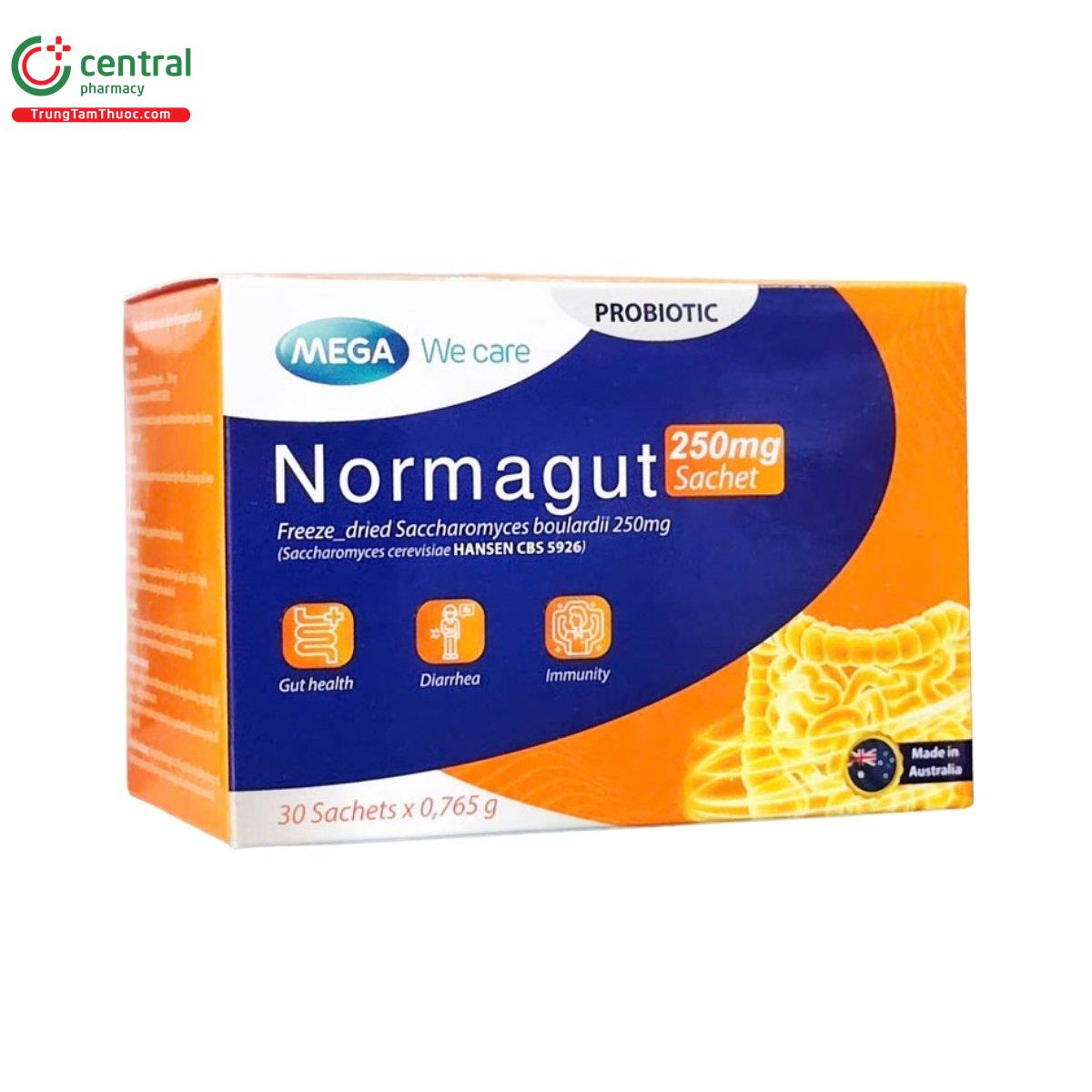 normagut 250mg sachet 3 V8111 normagut 250mg sachet 3 V8111