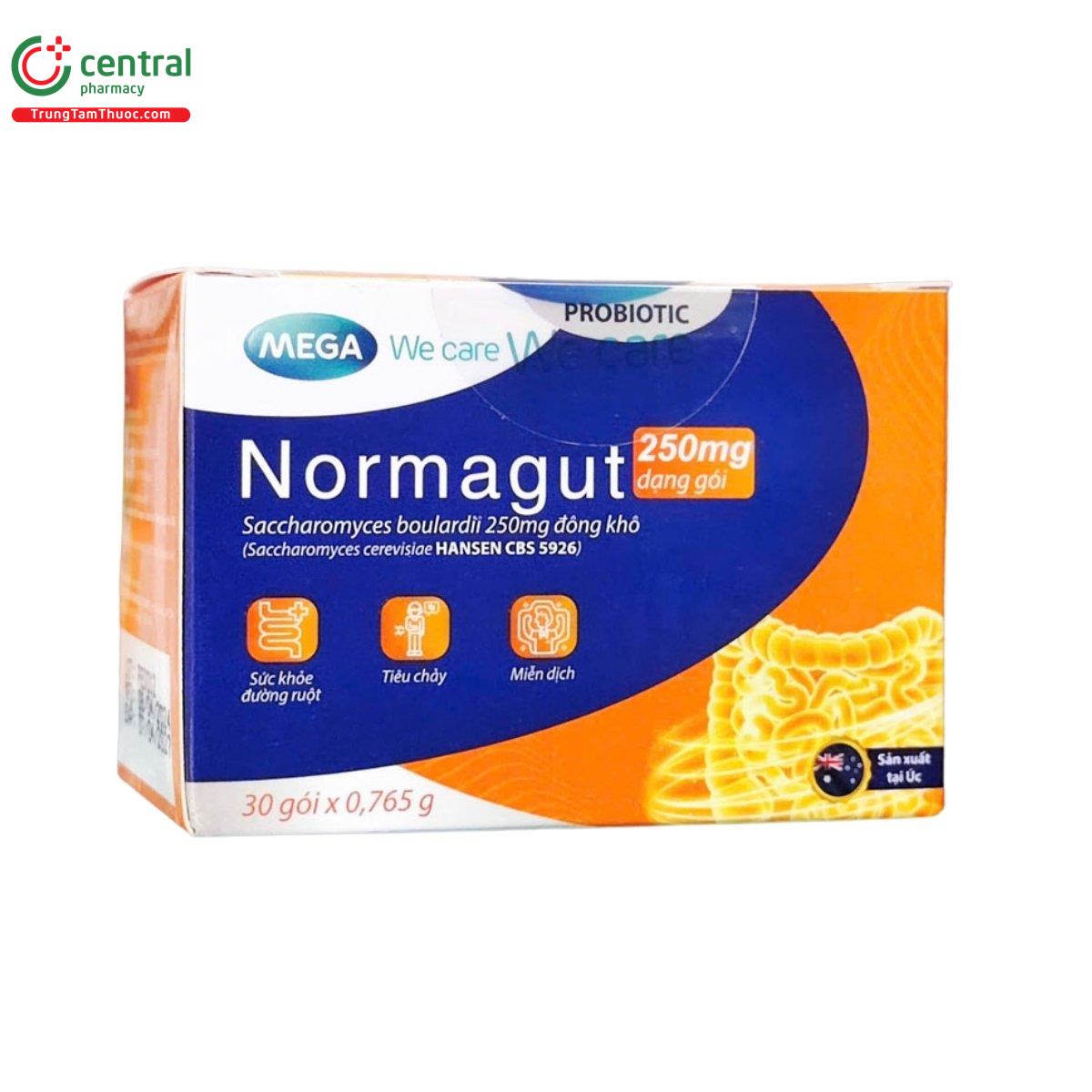 normagut 250mg sachet 4 S7122 normagut 250mg sachet 4 S7122