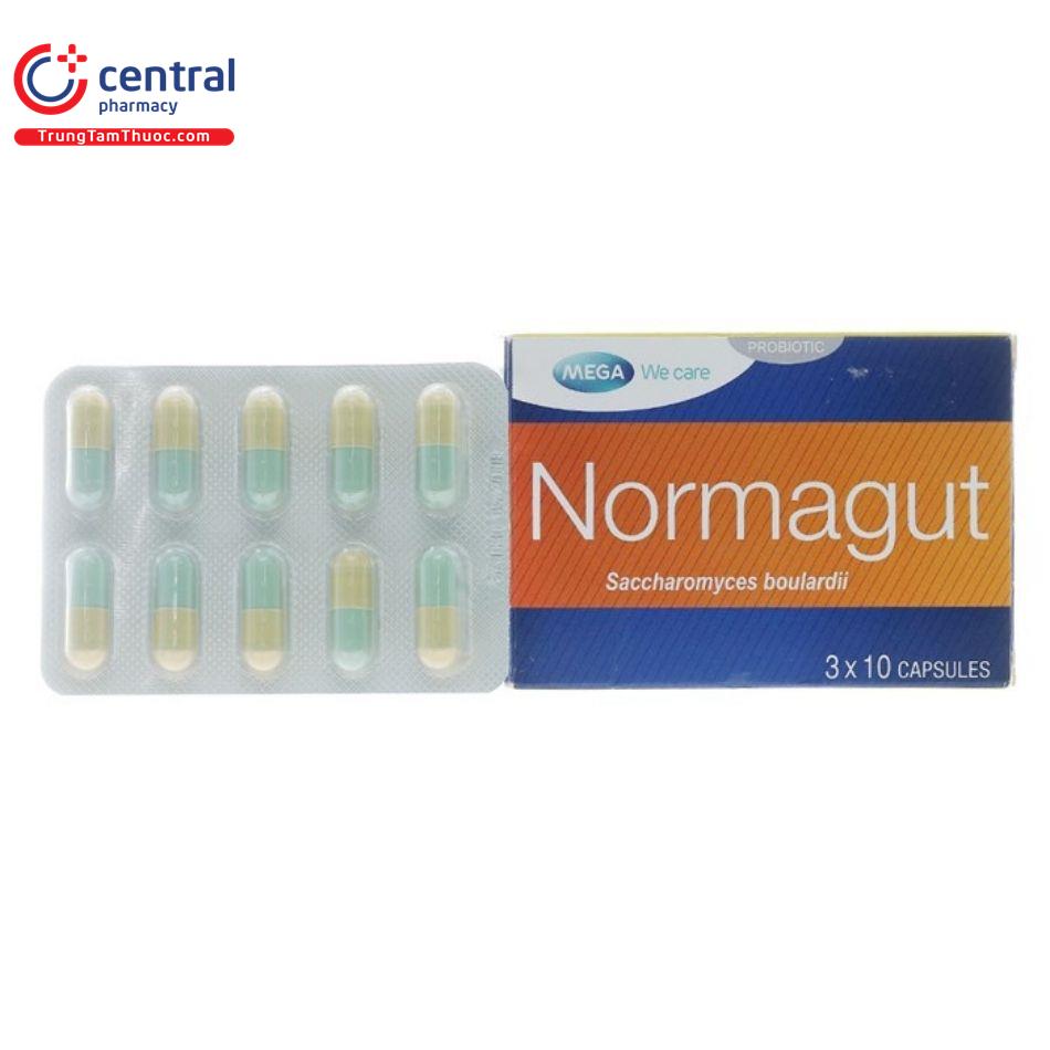 normagut 4 G2305