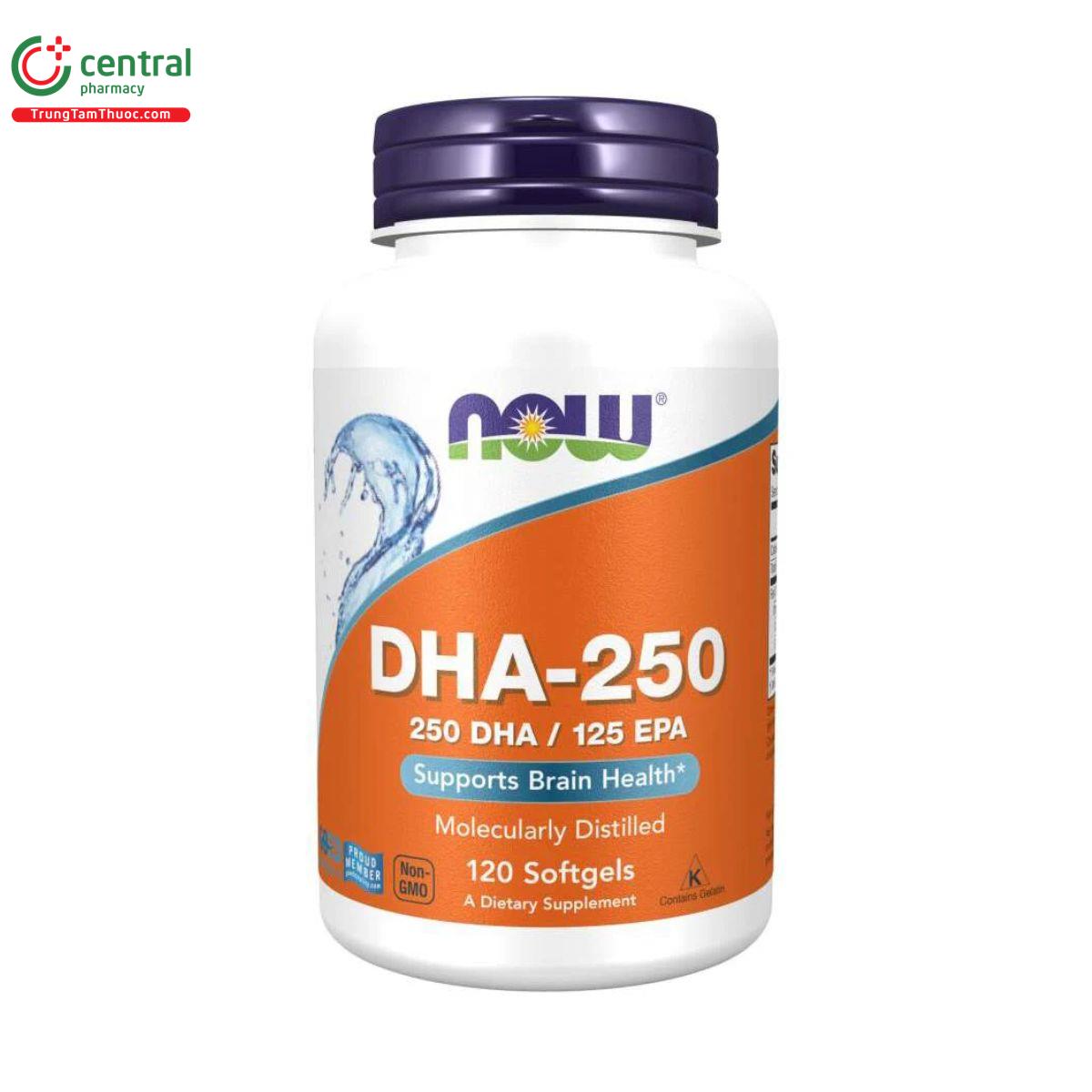 now dha 250 2 E1145