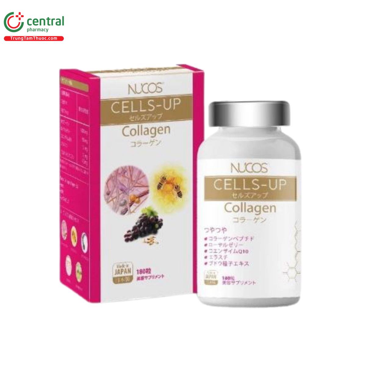 nucos cells up collagen 4 E2643