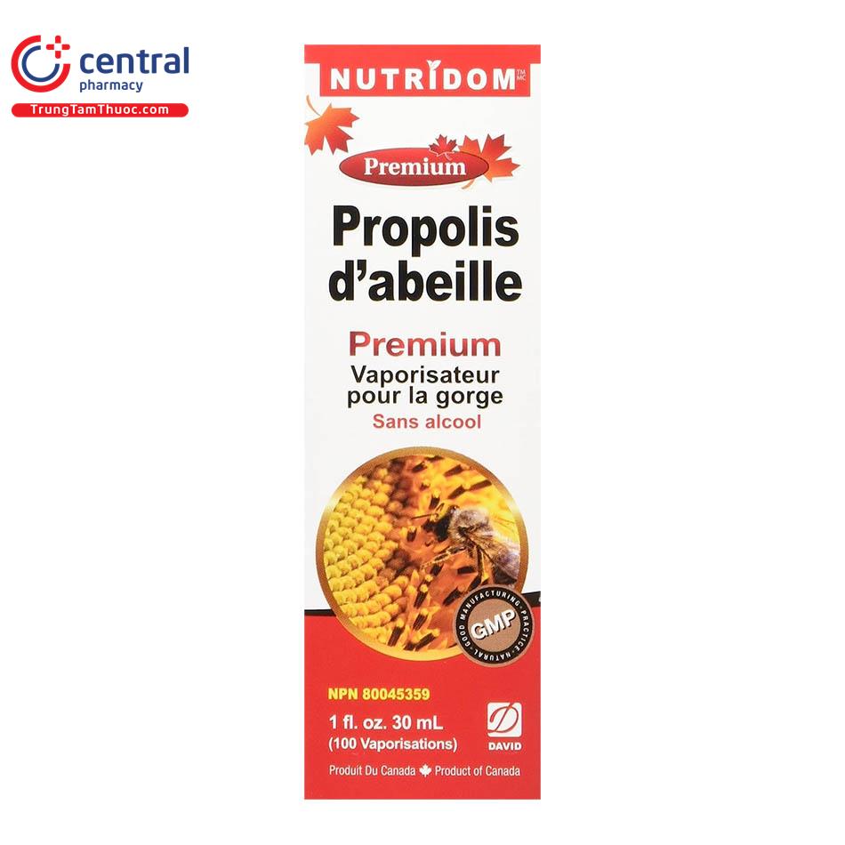 nutridom bee propolis spray 6 O5771