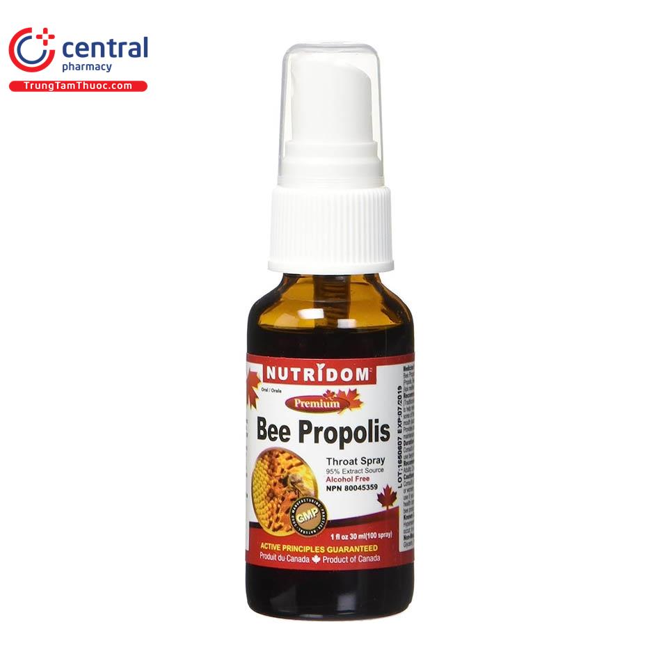 nutridom bee propolis spray 9 G2746