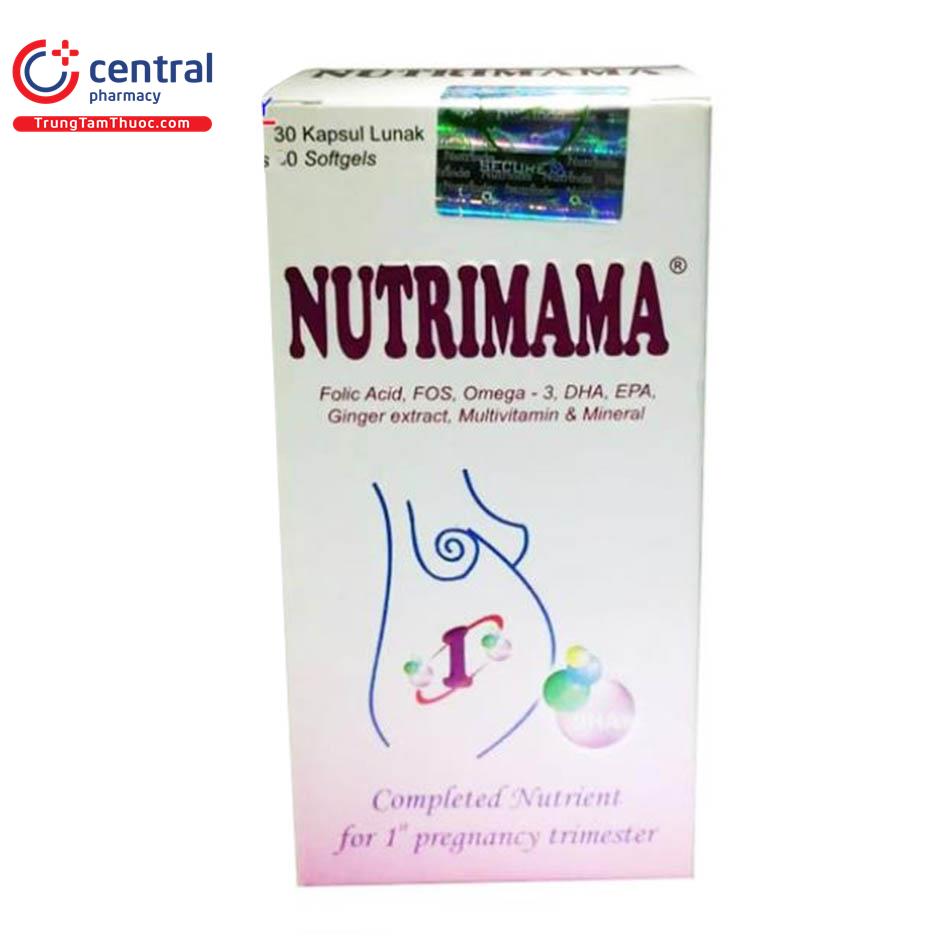 nutrimama 1 2 L4580