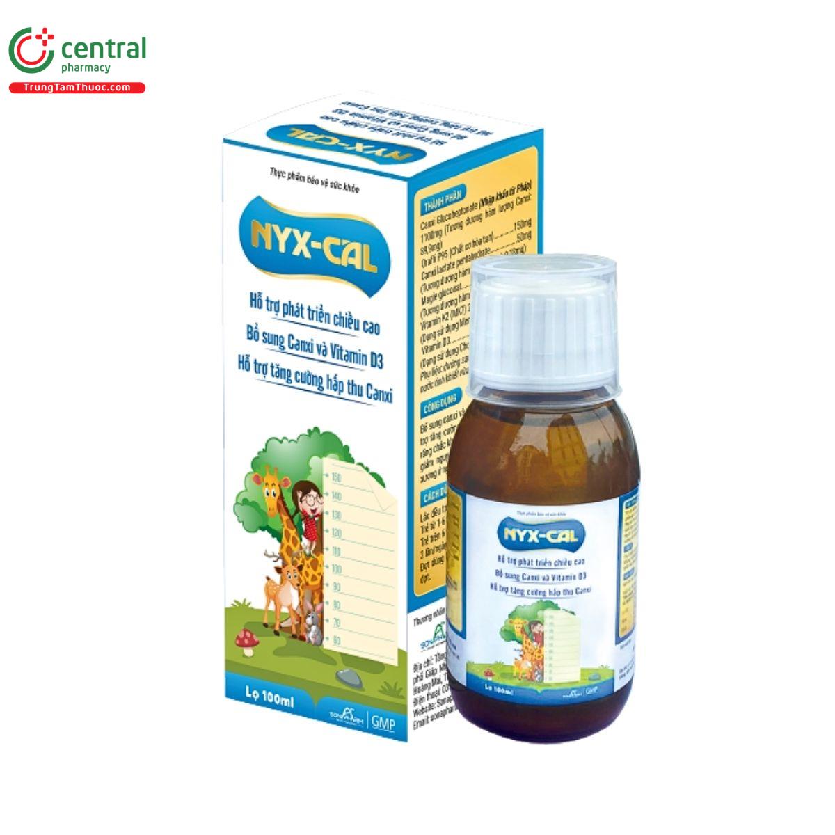 nyx cal 1 J4060 nyx cal 1 J4060