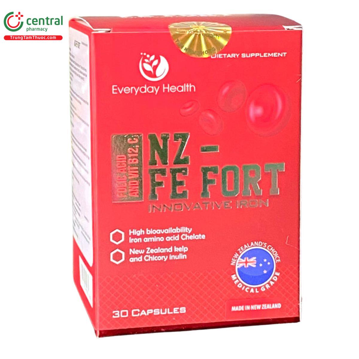 nz fe fort 2 P6252