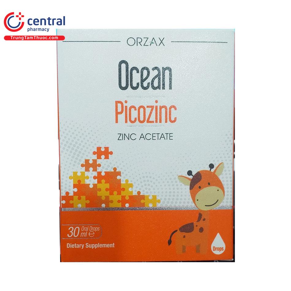 ocean picozinc 03 I3671