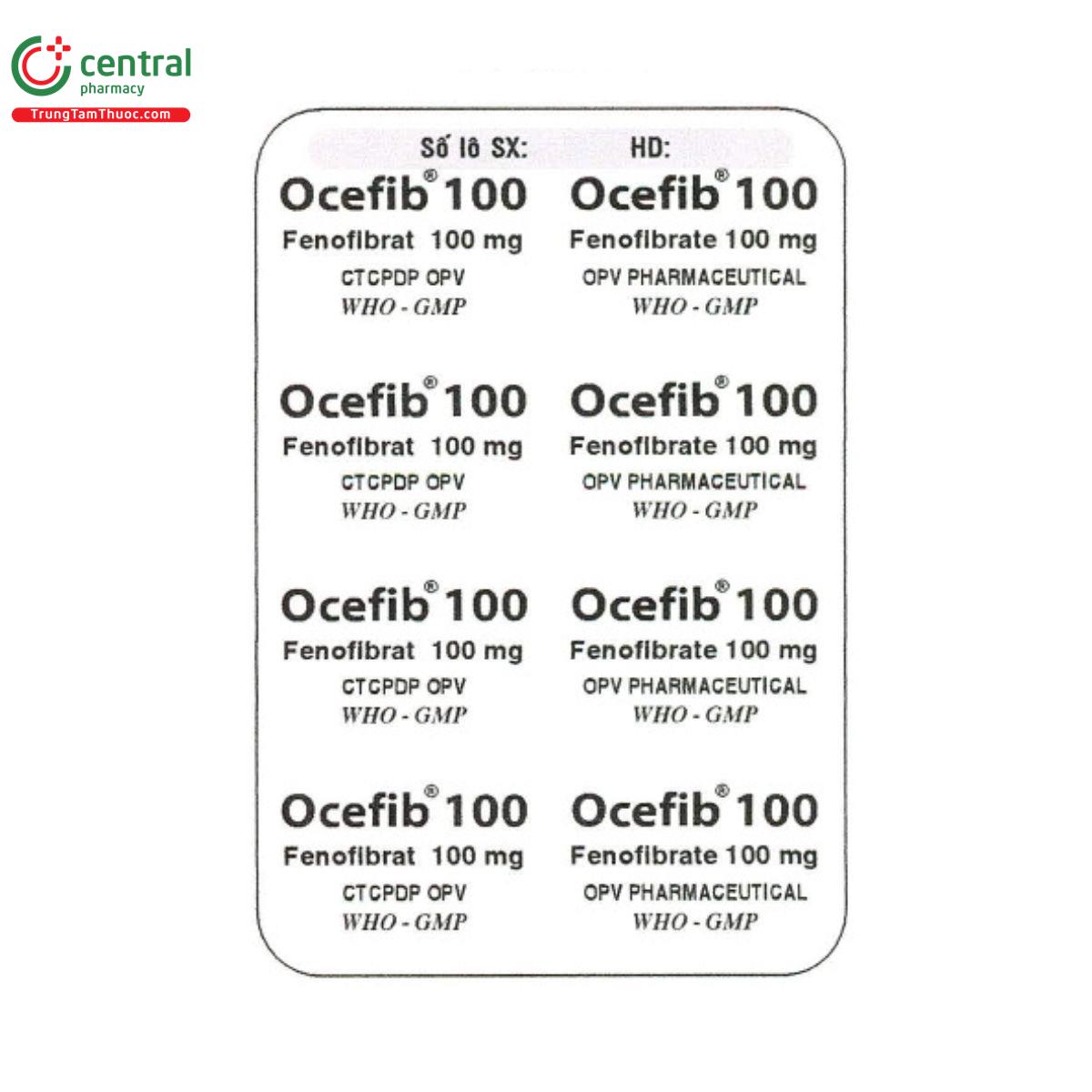 ocefib 100 2 O5503 ocefib 100 2 O5503