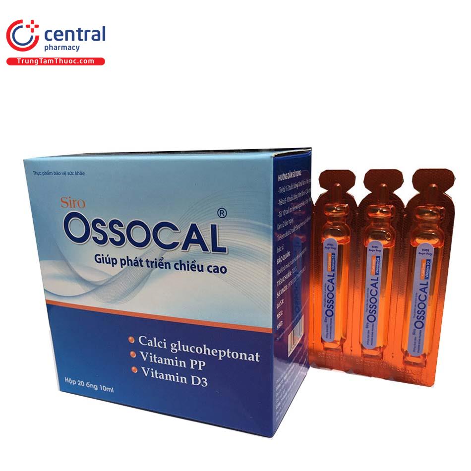 ossocal 5 O6482