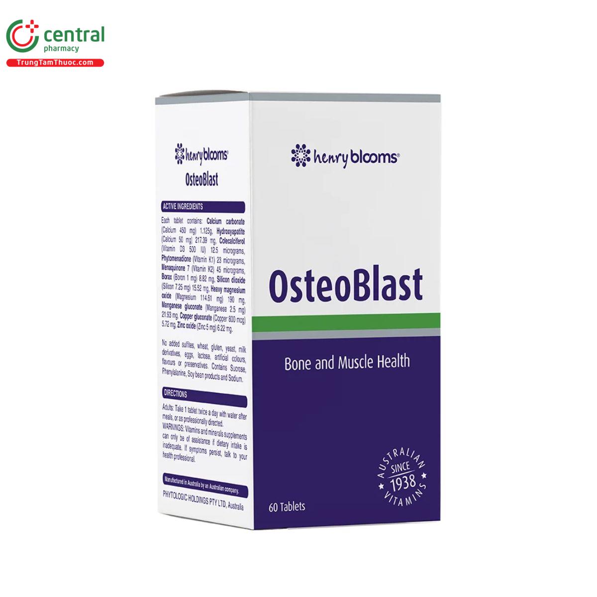 osteoblast 3 I3172