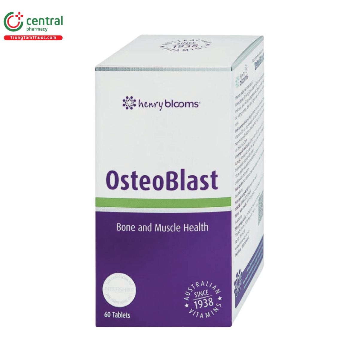 osteoblast 4 N5313