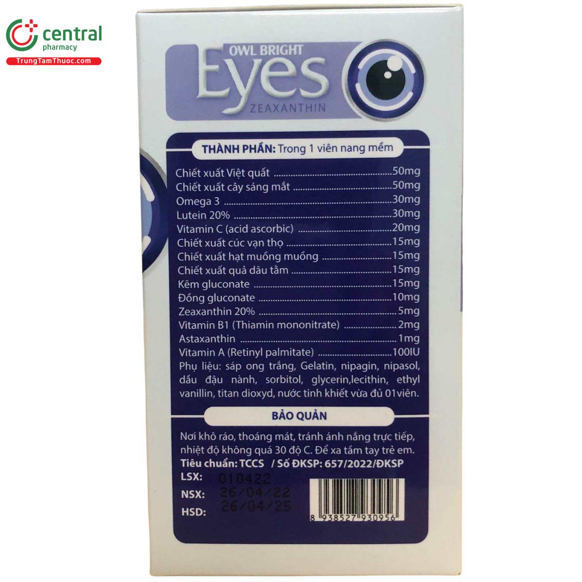 owl bright eyes 2 I3237
