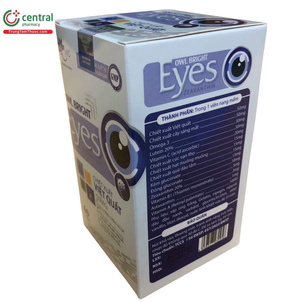 owl bright eyes 3 H3250