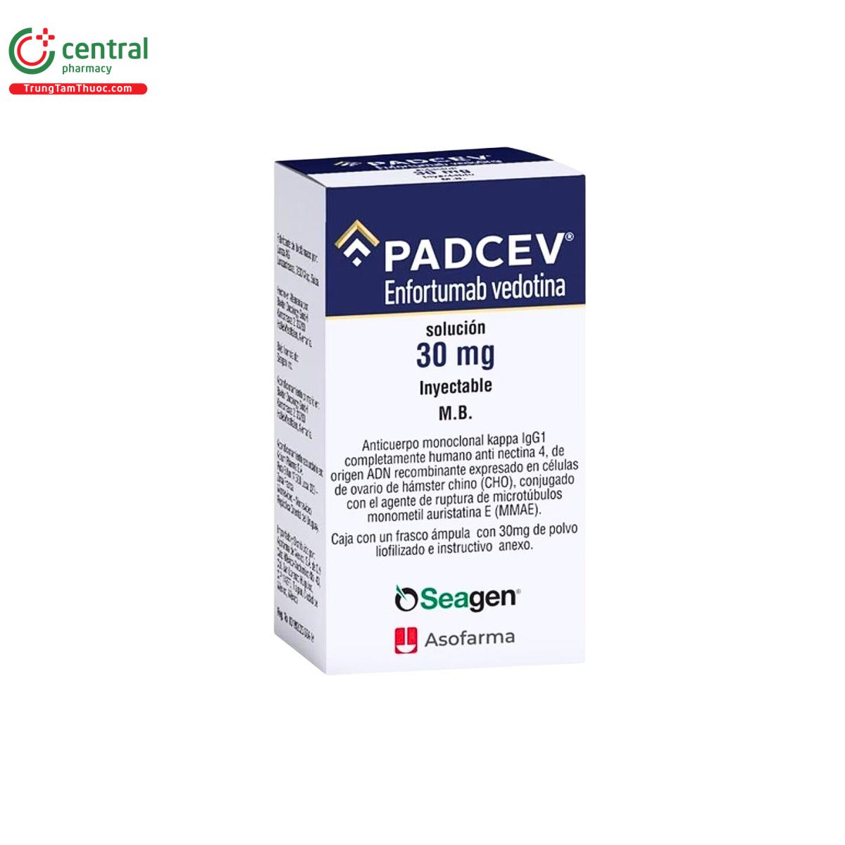 padcev 1 Q6261