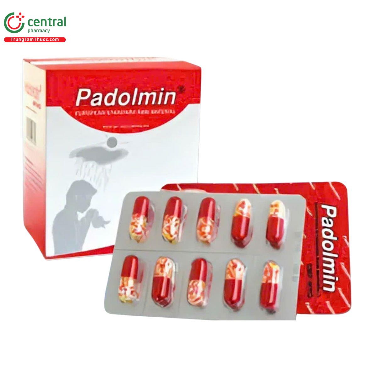 padolmin 325mg 4mg 2 L4480