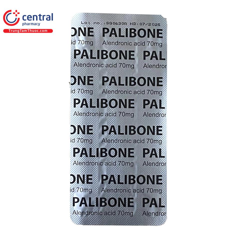 palibone 05 L4127