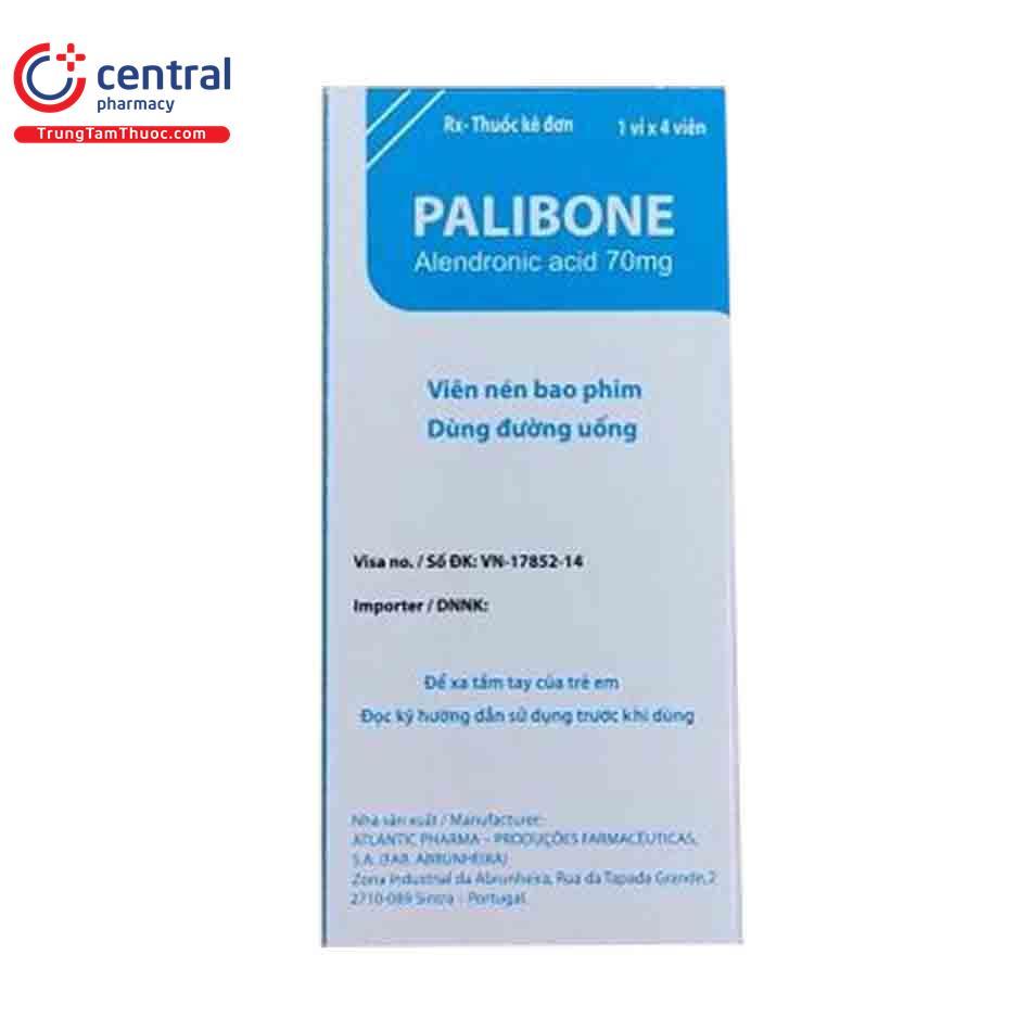 palibone 5 V8133