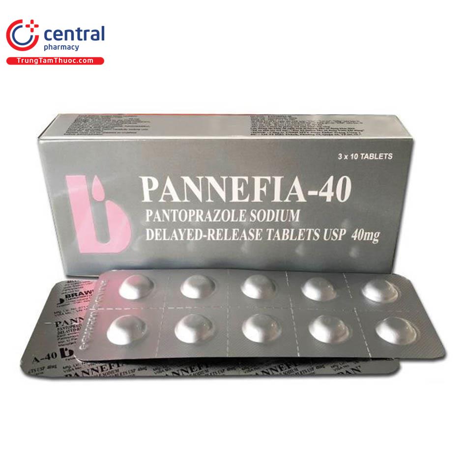 pannefia2 Q6753