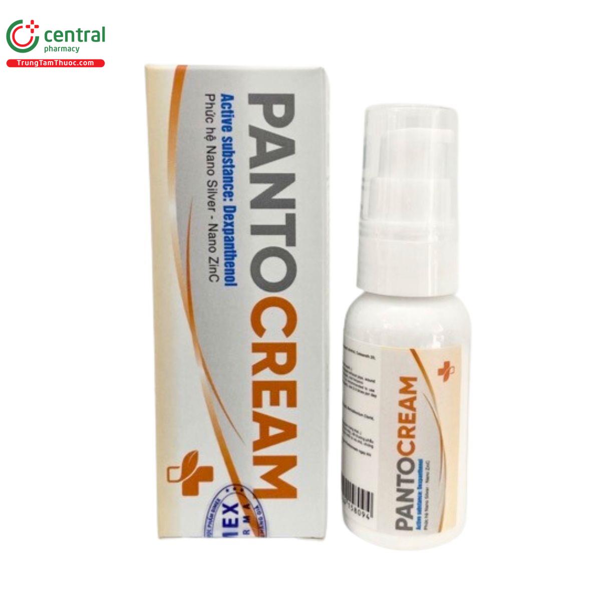 panto cream 2 N5584