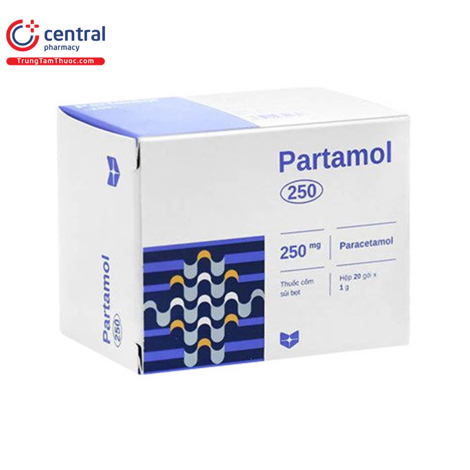 partamol2505 R6134