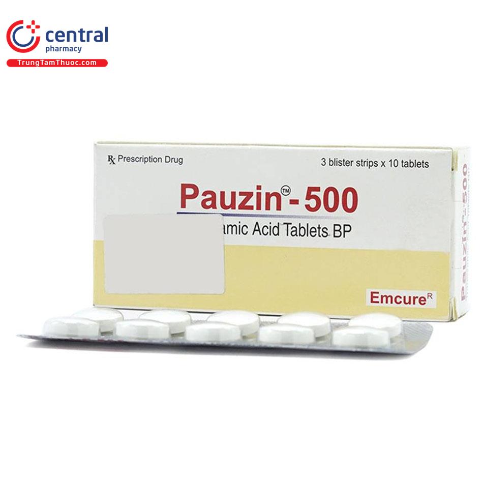 pauzin 500 1 J3261