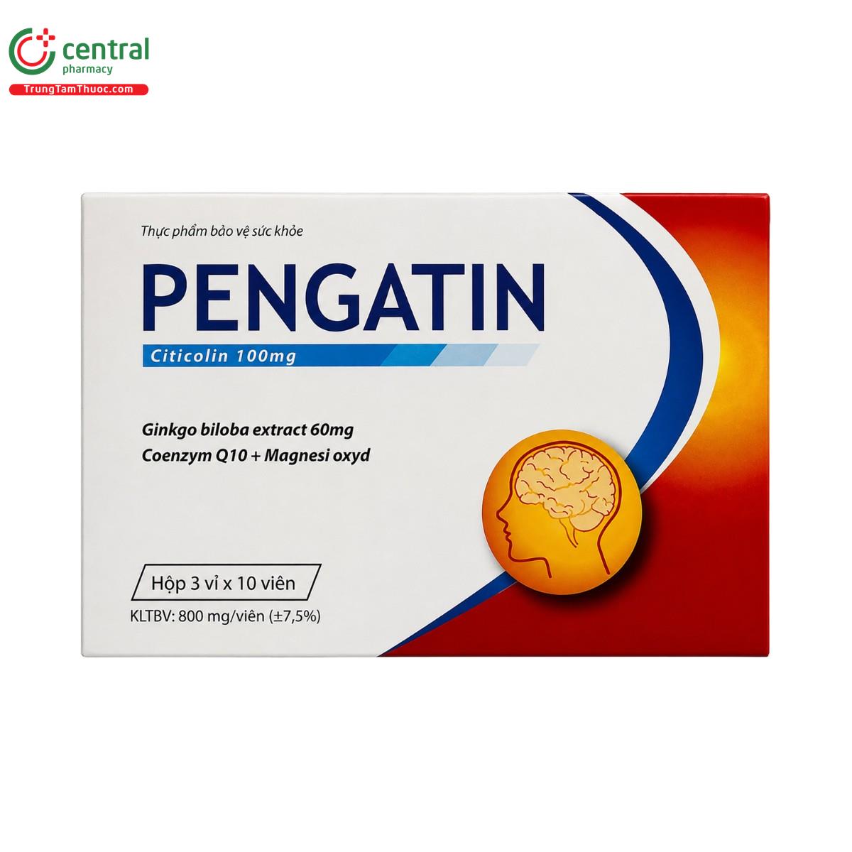 pengatin 1 I3061 pengatin 1 I3061