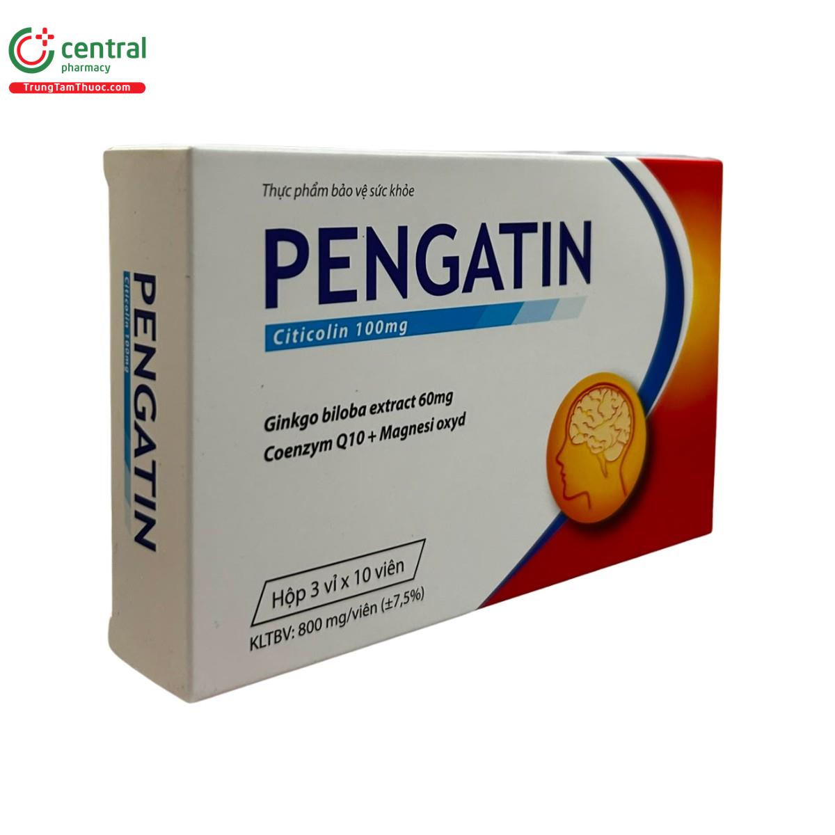 pengatin 3 Q6381 pengatin 3 Q6381